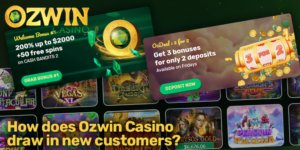 What You’ll Get After a Quick Ozwin Login - overview